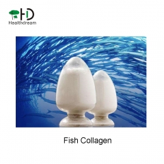 Fish Collagen(from scan)