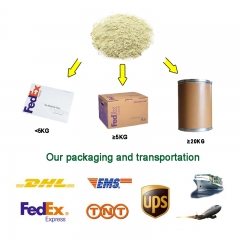 Bovine Collagen Powder(from bovine bone)