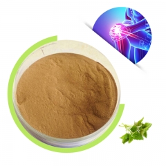 Nettle Root Extract（Urtica dioica L.）4:1