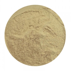Abalone powder
