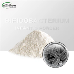 Bifidobacterium Infantis