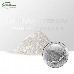 Bifidobacterium Adolescentis powder