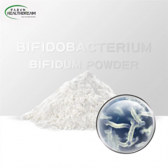 Bifidobacterium Bifidum powder