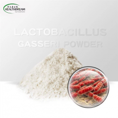 Lactobacillus Gasseri powder