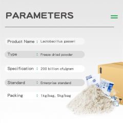 Lactobacillus Gasseri powder