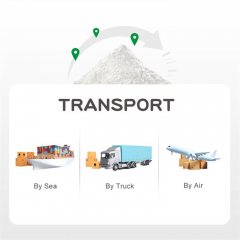 Lactobacillus casei Powder