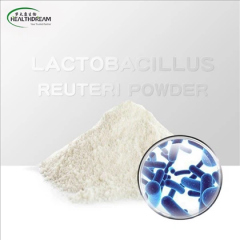 Lactobacillus Reuteri Powder