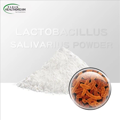 Lactobacillus salivarius  powder
