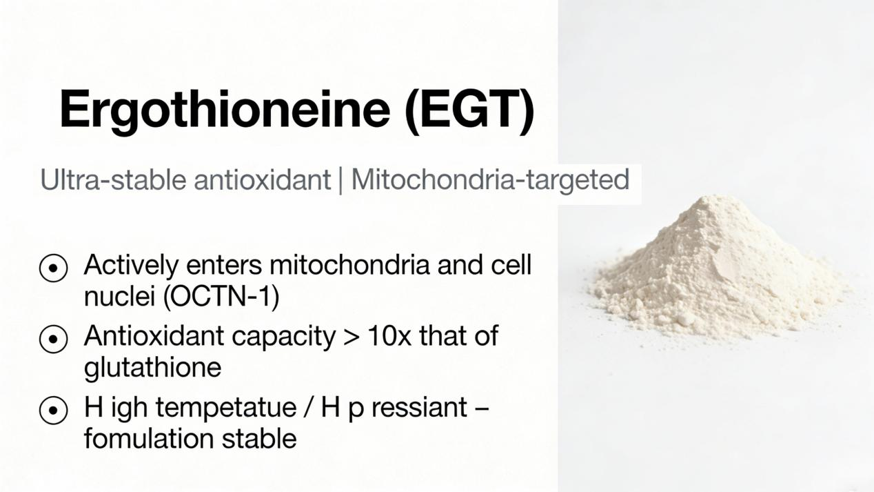 What Makes Ergothioneine (EGT) a Distinctive Ingredient in Modern Supplement Formulations?