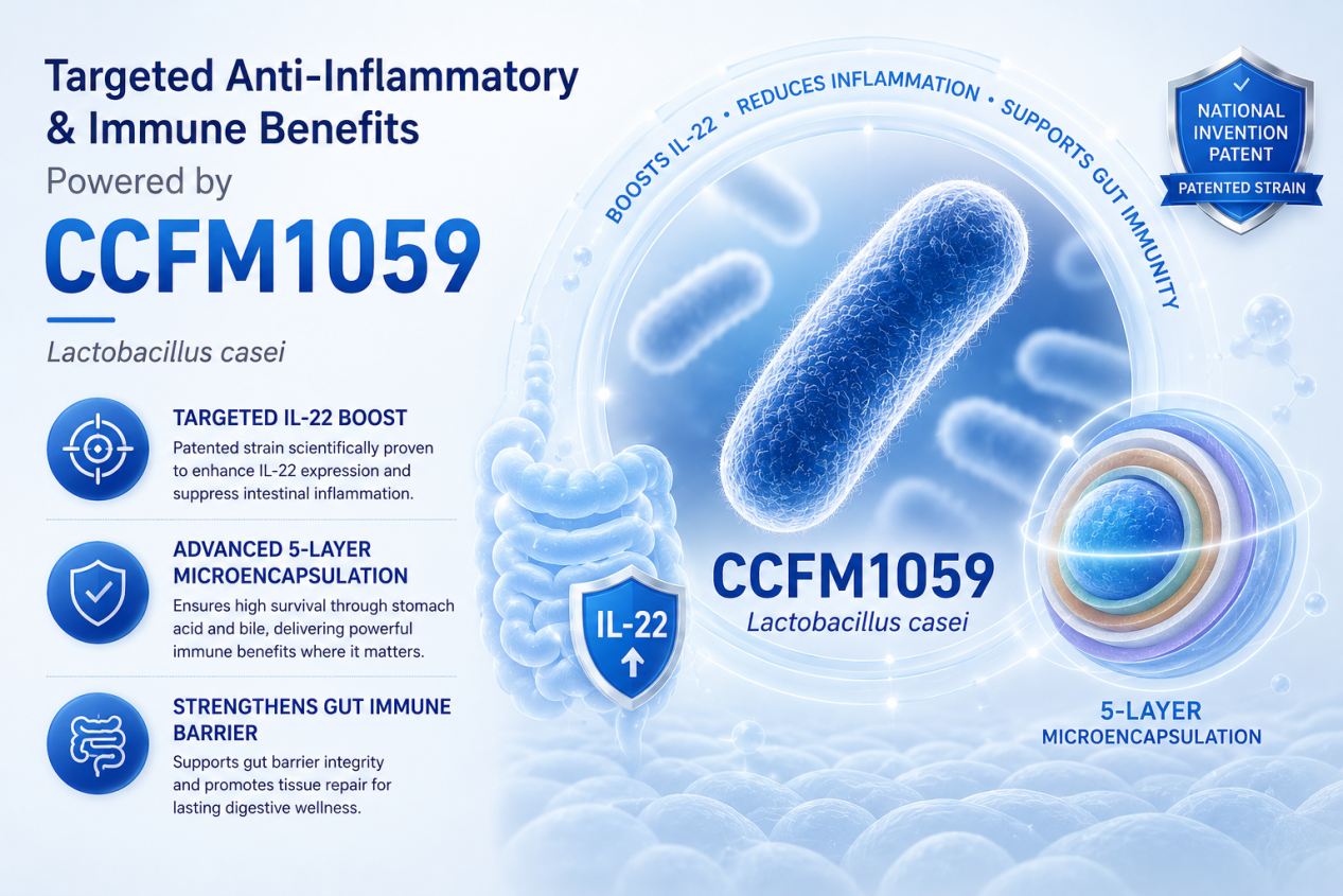 How does Lactobacillus casei CCFM1059 stand out from traditional strains in providing targeted anti-inflammatory and immune benefits?